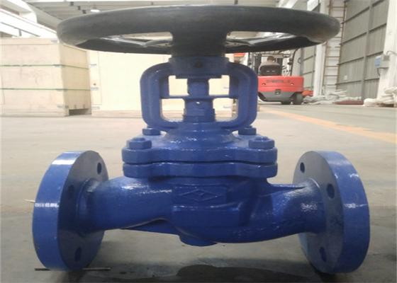 Din Ductile Iron Gg25 Globe Valve Flange Type Bellows Sealed 1.6mpa Pressure