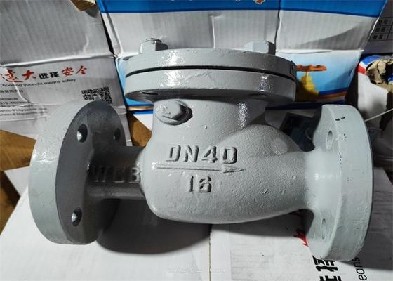 GB Standard Carbon Steel Body Flanged Swing Check Valve Size 80mm